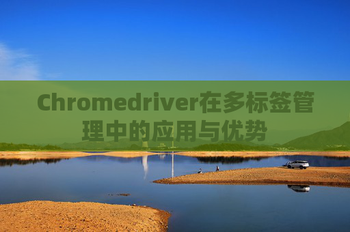 Chromedriver在多标签管理中的应用与优势 Chromedriver在多标签管理中的应用与优势